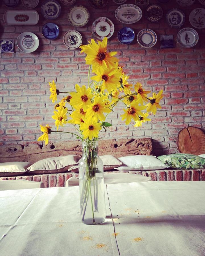 Agriturismo Agronauta Villa Piozzano ภายนอก รูปภาพ